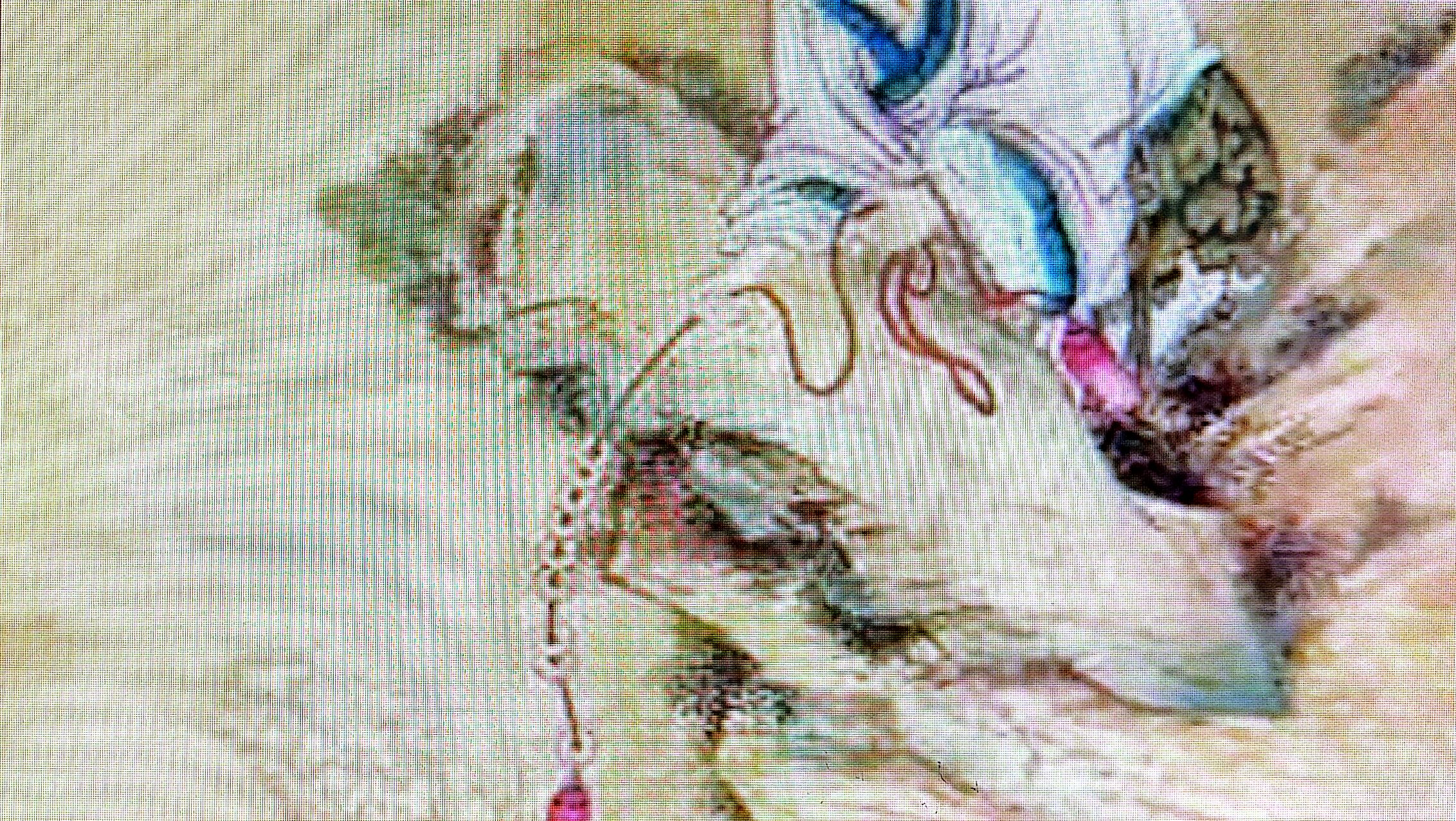 中国书画一