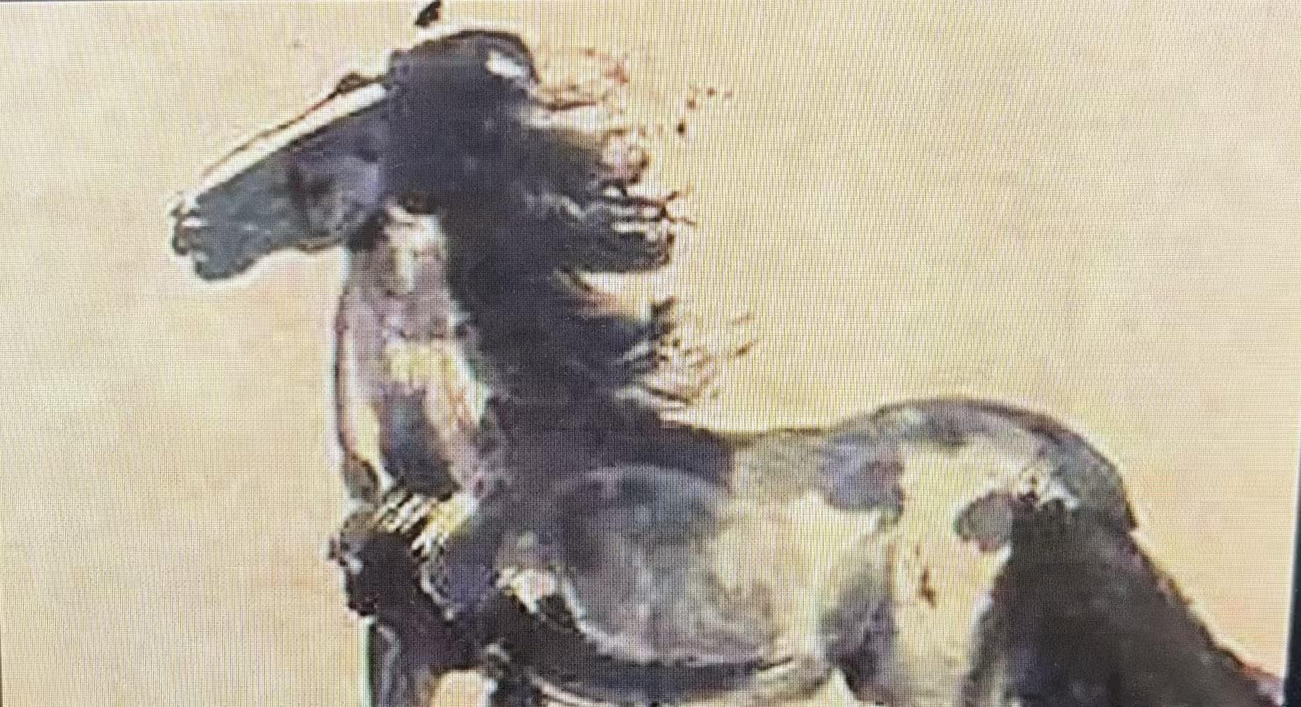 中国书画